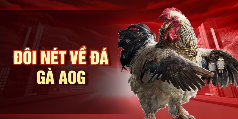 Đá Gà AOG - Nơi Hội Tụ Đam Mê Của Dân Chơi Thực Thụ Đôi nét về đá gà AOG