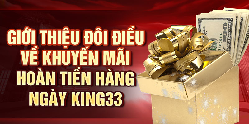 Hoàn Tiền Hàng Ngày King33 - Ưu Đãi Có Một Không Hai Giới thiệu đôi điều về khuyến mãi hoàn tiền hàng ngày King33