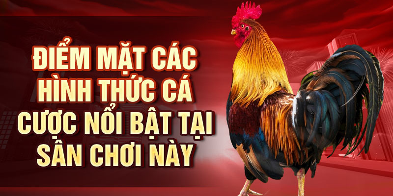 Điểm mặt các hình thức cá cược nổi bật tại sân chơi này