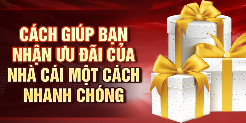 Hoàn Trả King33 2% - Ưu Đãi Cực Hấp Dẫn, Không Giới Hạn Cách giúp bạn nhận ưu đãi của nhà cái một cách nhanh chóng