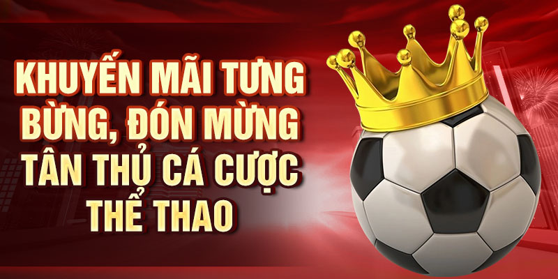 Thể Thao IM – Cơ Hội Thắng Cực Cao Với Sảnh Cược IM Khuyến mãi tưng bừng, đón mừng tân thủ cá cược thể thao