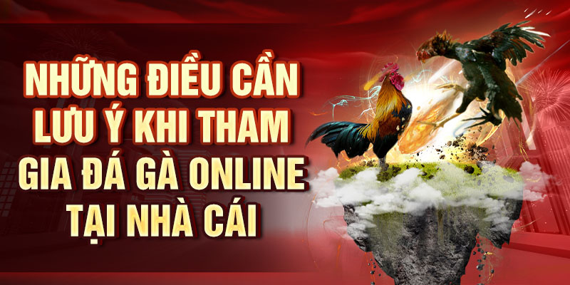 Những điều cần lưu ý khi tham gia đá gà online tại nhà cái